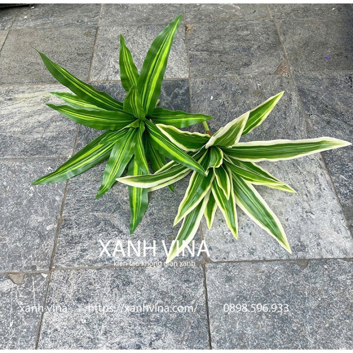 cây giả để bàn thiết mộc lan 55cm